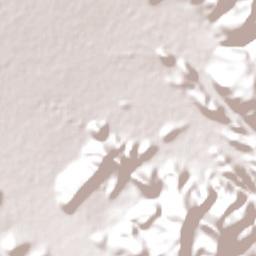 Arani Terrain Map