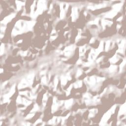 Carlos Chagas Terrain Map