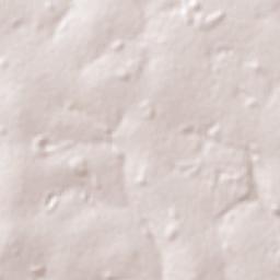 Turvelândia Terrain Map
