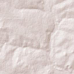 Pedro Gomes Terrain Map