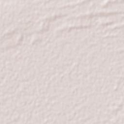Broome Terrain Map