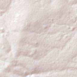 Castelândia Terrain Map