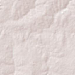 Beatrice Terrain Map
