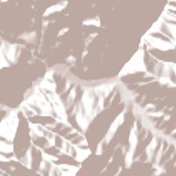 Provincia Charcas Terrain Map