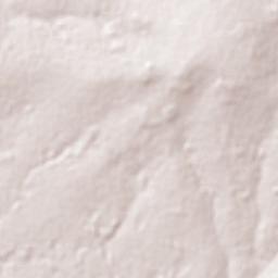 Inaciolândia Terrain Map