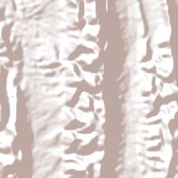 Opuwo Constituency Terrain Map