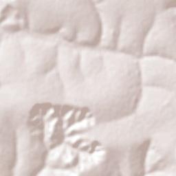 Tupaciguara Terrain Map