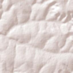 Monte Alegre de Minas Terrain Map