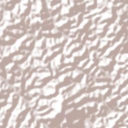 Dom Joaquim Terrain Map