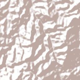 Mesquita Terrain Map