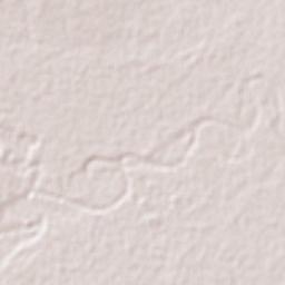 Nhamatanda District Terrain Map