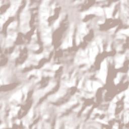 Fortuna de Minas Terrain Map