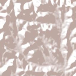 Sesfontein Constituency Terrain Map