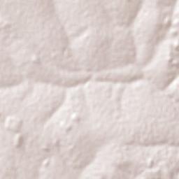 Paranaíba Terrain Map