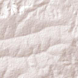 Carneirinho Terrain Map