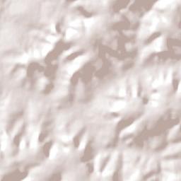 Comendador Gomes Terrain Map