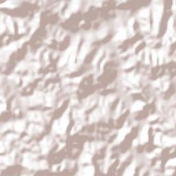 Leandro Ferreira Terrain Map