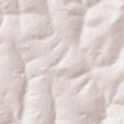 Itapagipe Terrain Map