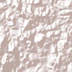 Florestal Terrain Map