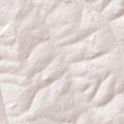 Mesópolis Terrain Map