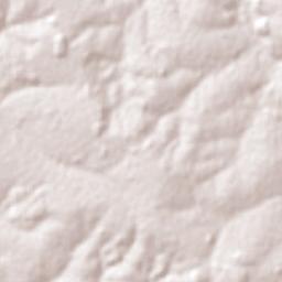 Populina Terrain Map