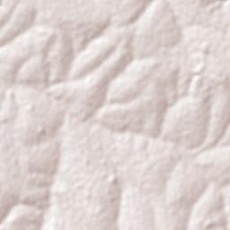 Santa Rita d'Oeste Terrain Map