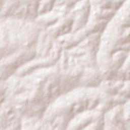Paranapuã Terrain Map