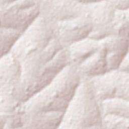 Guarani d'Oeste Terrain Map