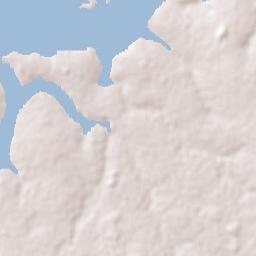 Miguelópolis Terrain Map