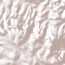 São Roque de Minas Terrain Map