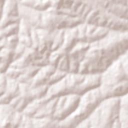 Fernandópolis Terrain Map