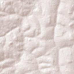 Parisi Terrain Map