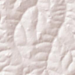 Álvares Florence Terrain Map