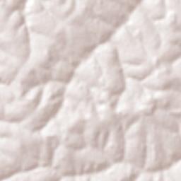 Américo de Campos Terrain Map