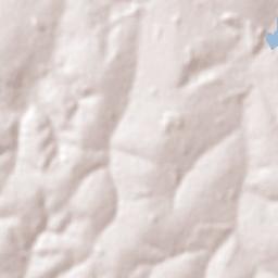 Palestina Terrain Map