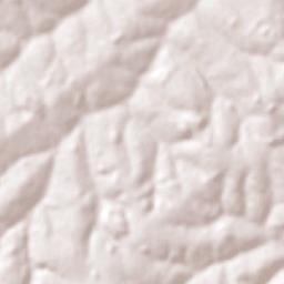 Cosmorama Terrain Map