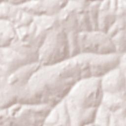 Tanabi Terrain Map