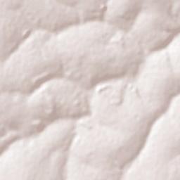 Barretos Terrain Map