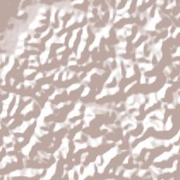 Divino de São Lourenço Terrain Map