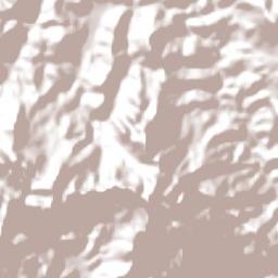 Carangola Terrain Map