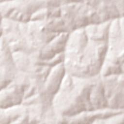 Guapiaçu Terrain Map