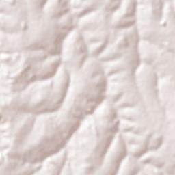 Olímpia Terrain Map