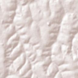 Severínia Terrain Map