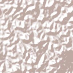 Cristiano Otoni Terrain Map