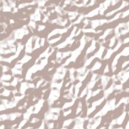 Rio Espera Terrain Map