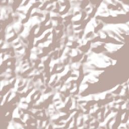 Cachoeiro de Itapemirim Terrain Map