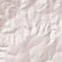 Lourdes Terrain Map
