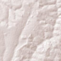 União Paulista Terrain Map