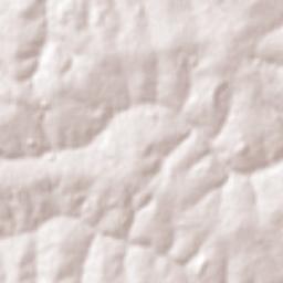 Uchoa Terrain Map
