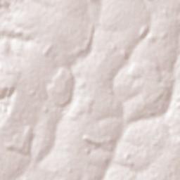 Planalto Terrain Map